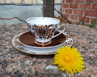 Vintage RPR Riga Porzellan Kaffee Set, Floral Braun Gold
