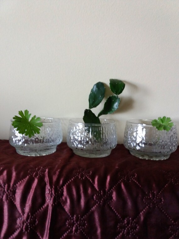 Glass Succulent Planters 3 Set Flower Pots Home Decor 3 Glass Etsy
