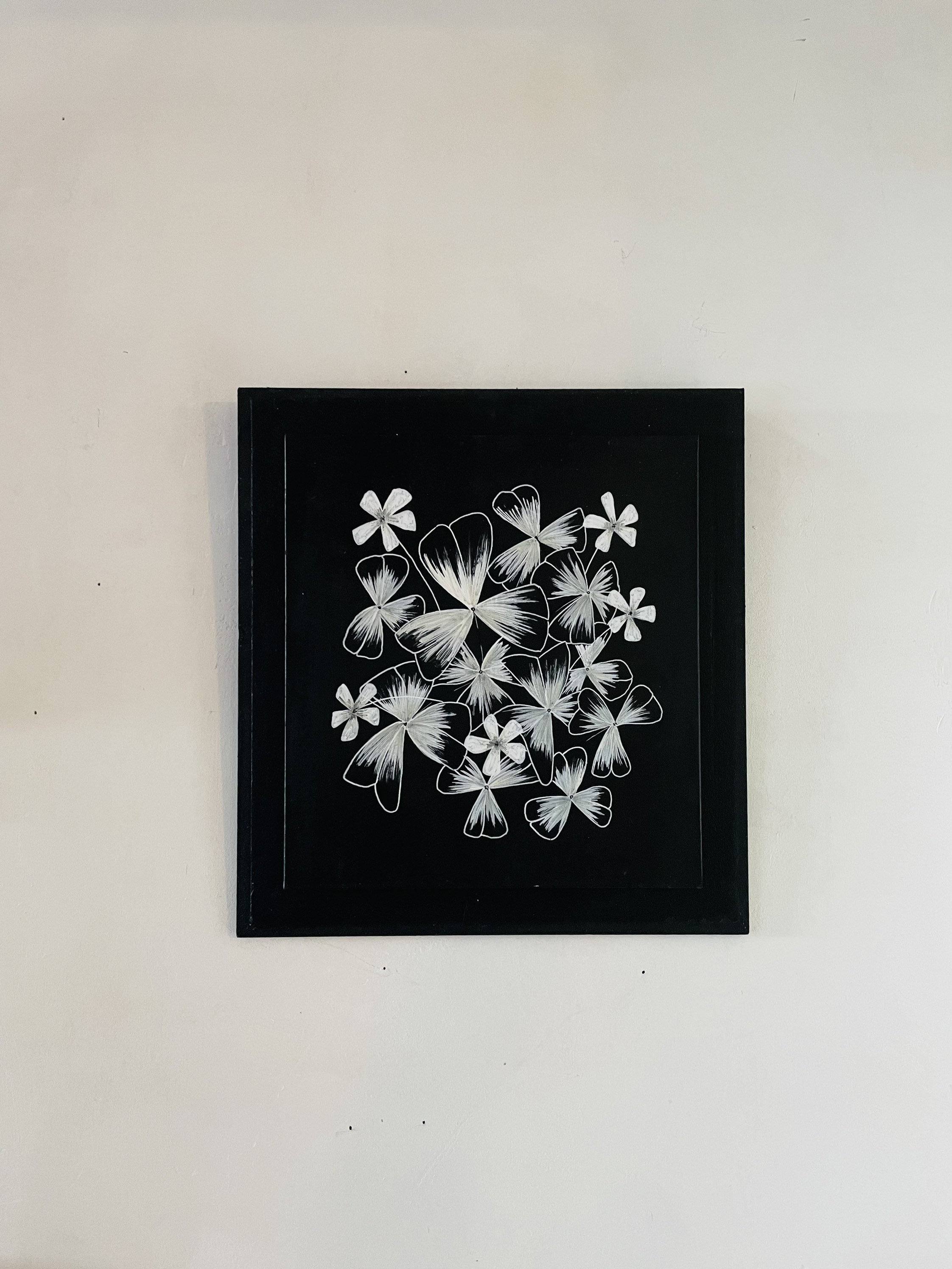 Oxalis/Fleurs Illustration Décor Mural