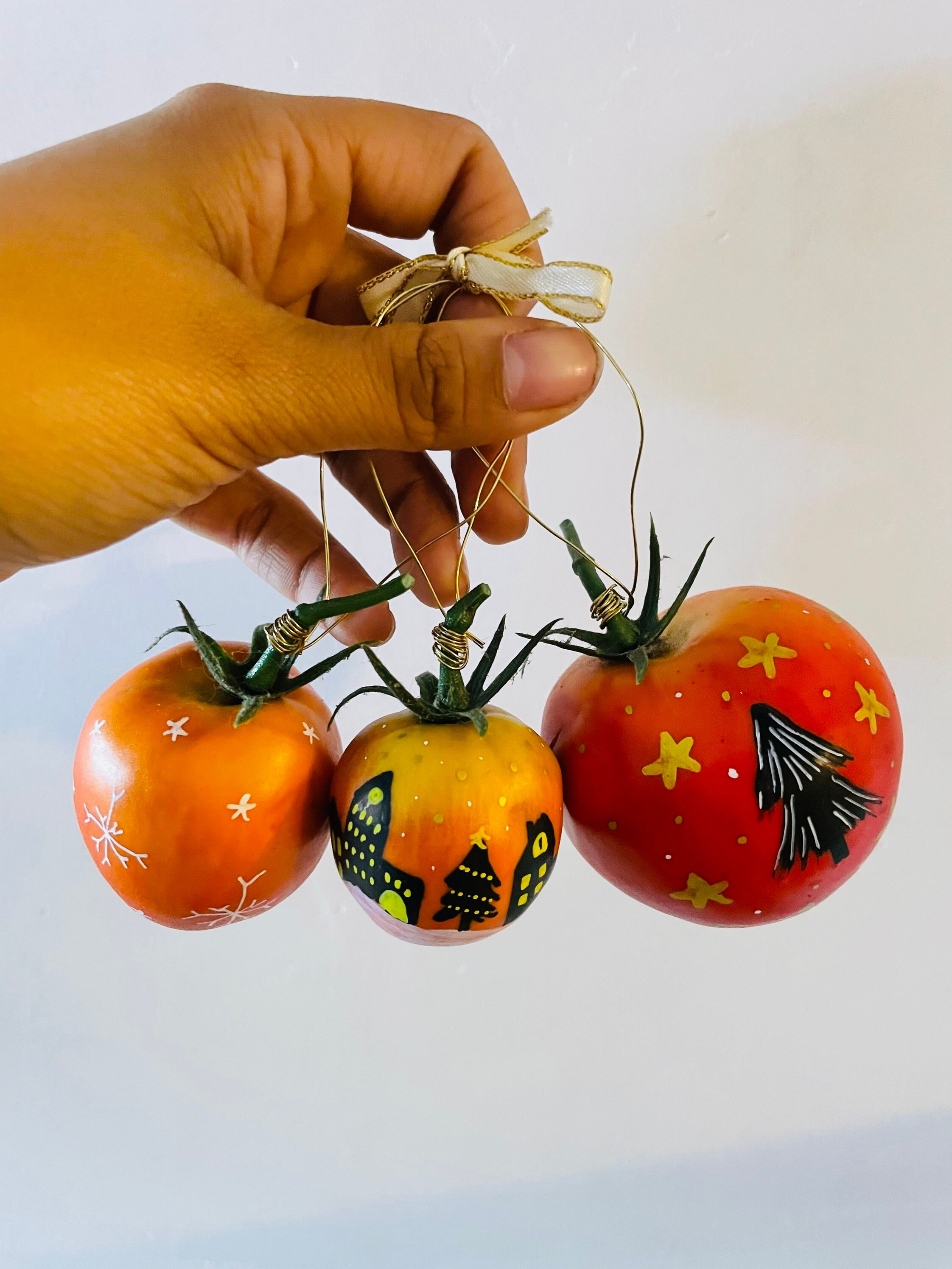 Décoration Noël/Sapin Fête Recup Tomate