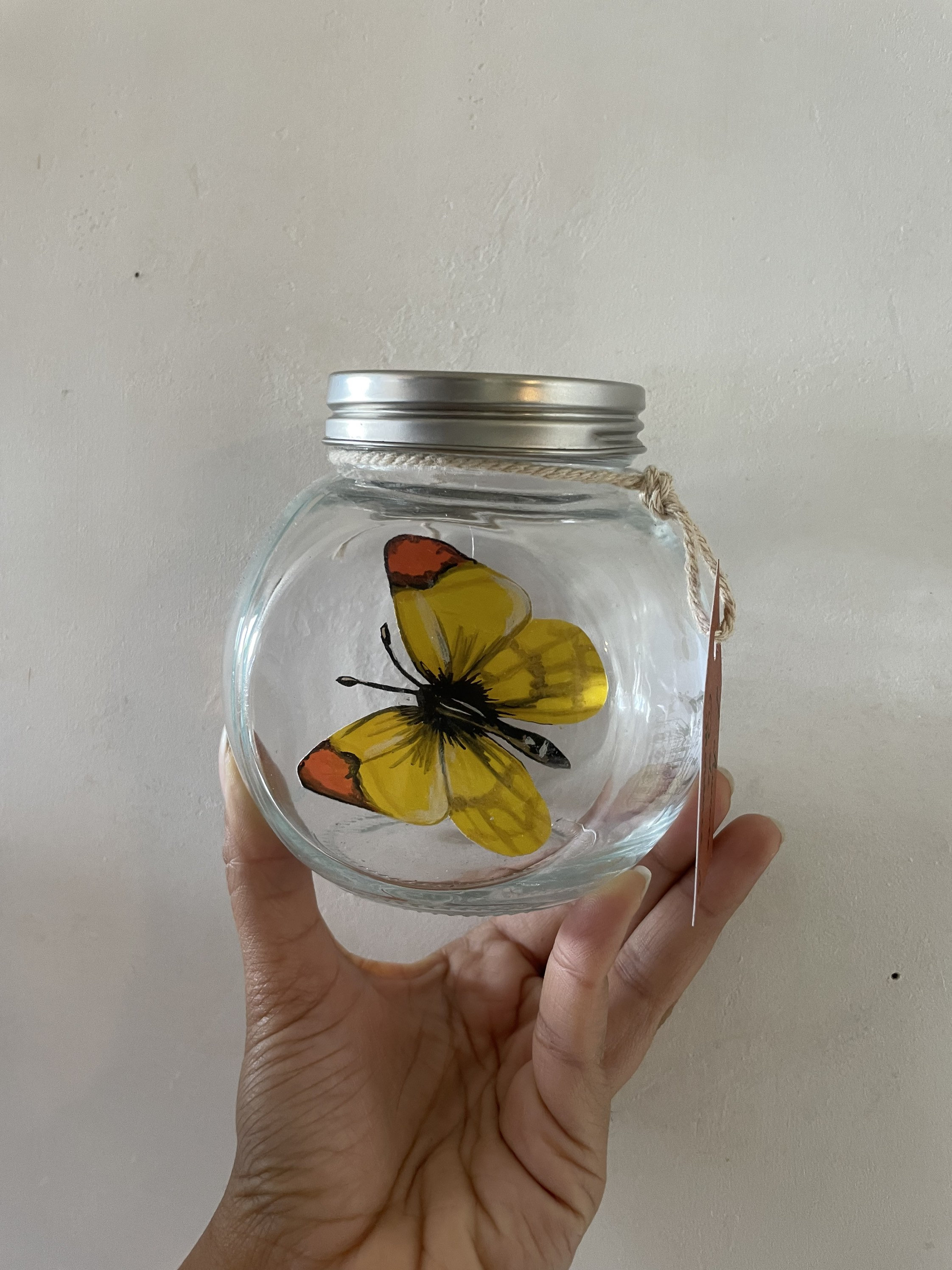 Papillon/Illustration Entomologie Recup Décoration