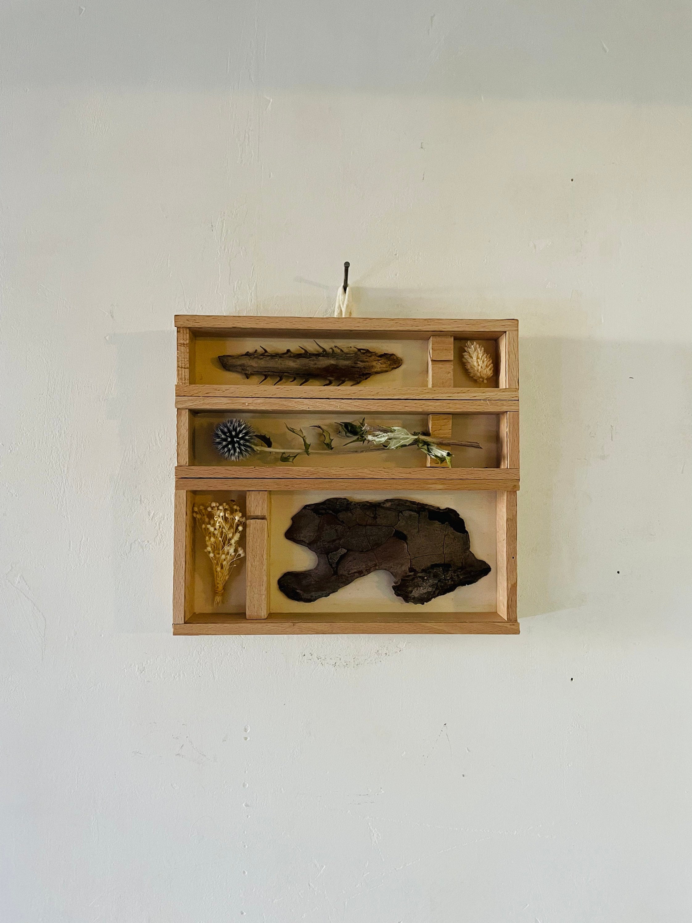 Fleurs Séchées/Herbier Recup Décoration en Bois