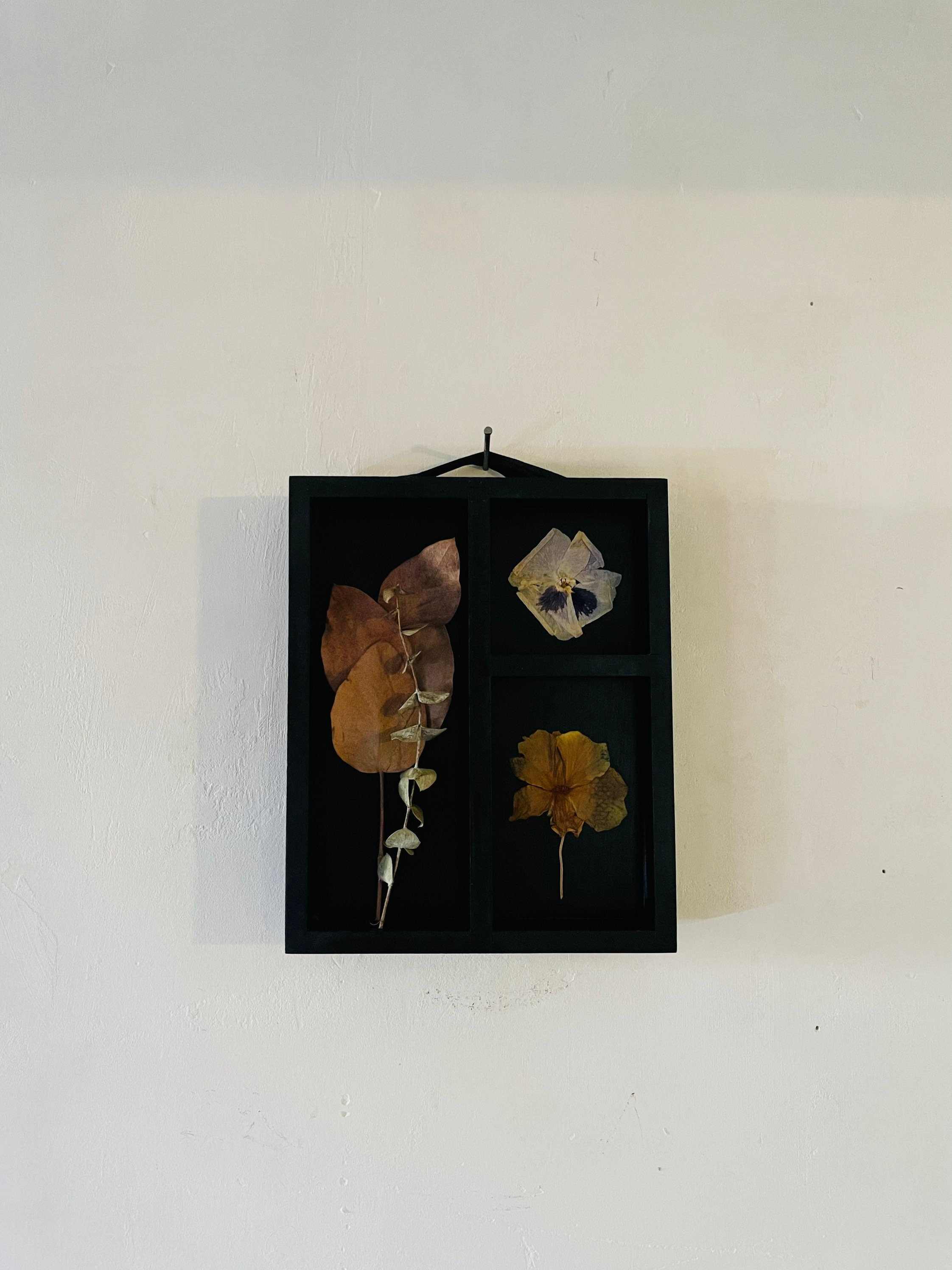 Fleurs Séchées/Cadre Recup Herbier