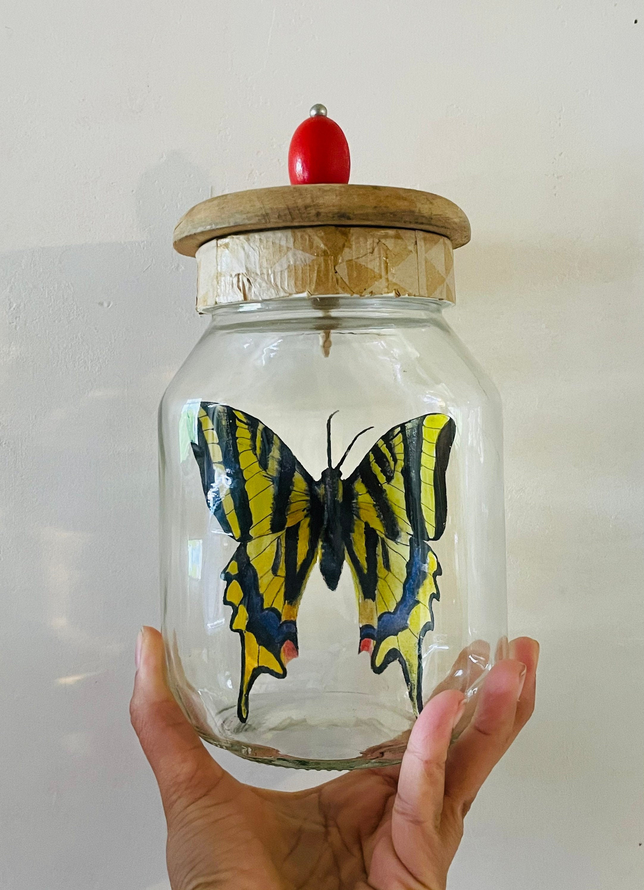 Papillon/Entomologie Trompe L'oeil Illustration Recup