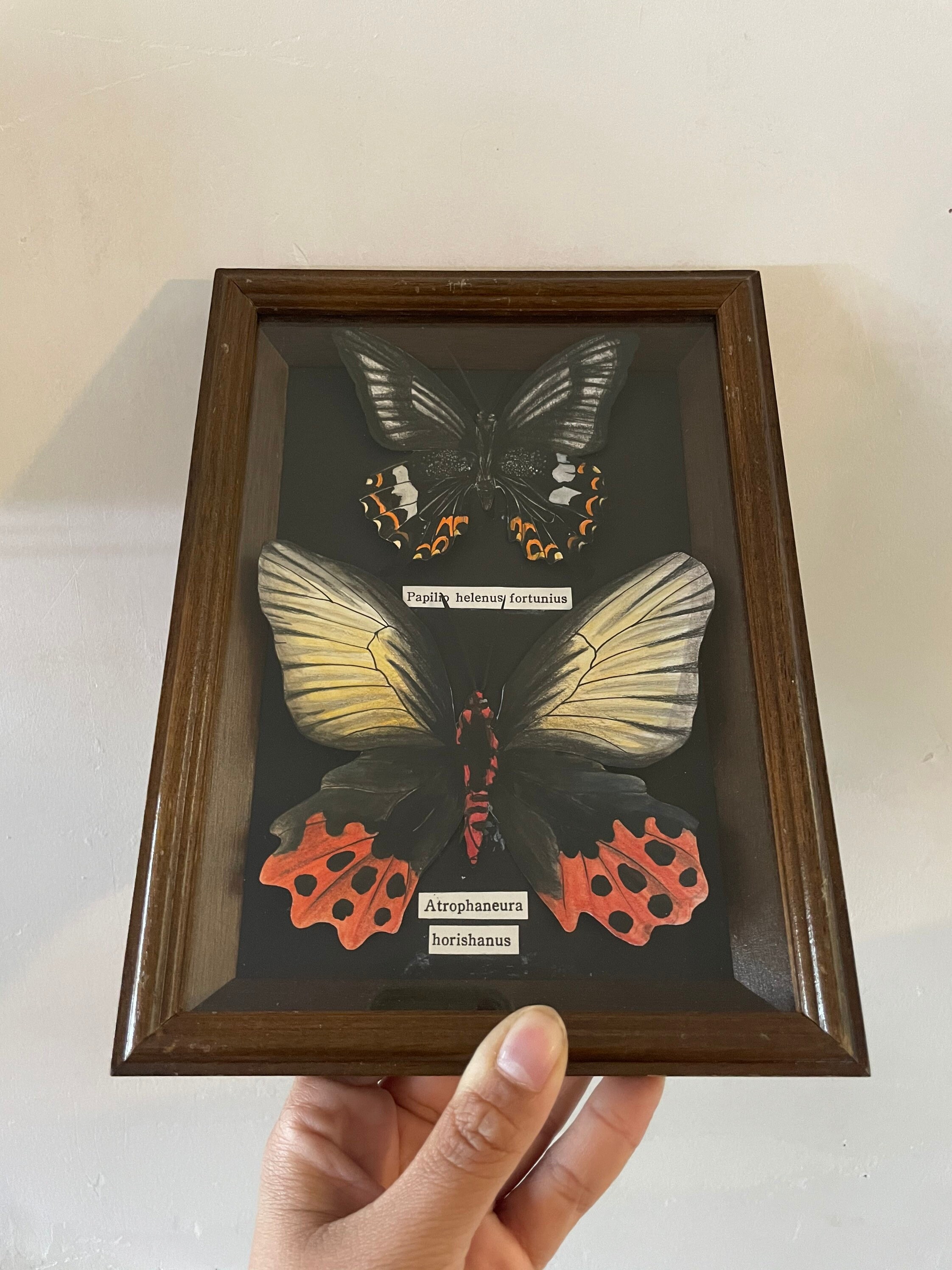 Papillons Encadrés/Cadre Deco Dessin Recup Cadre