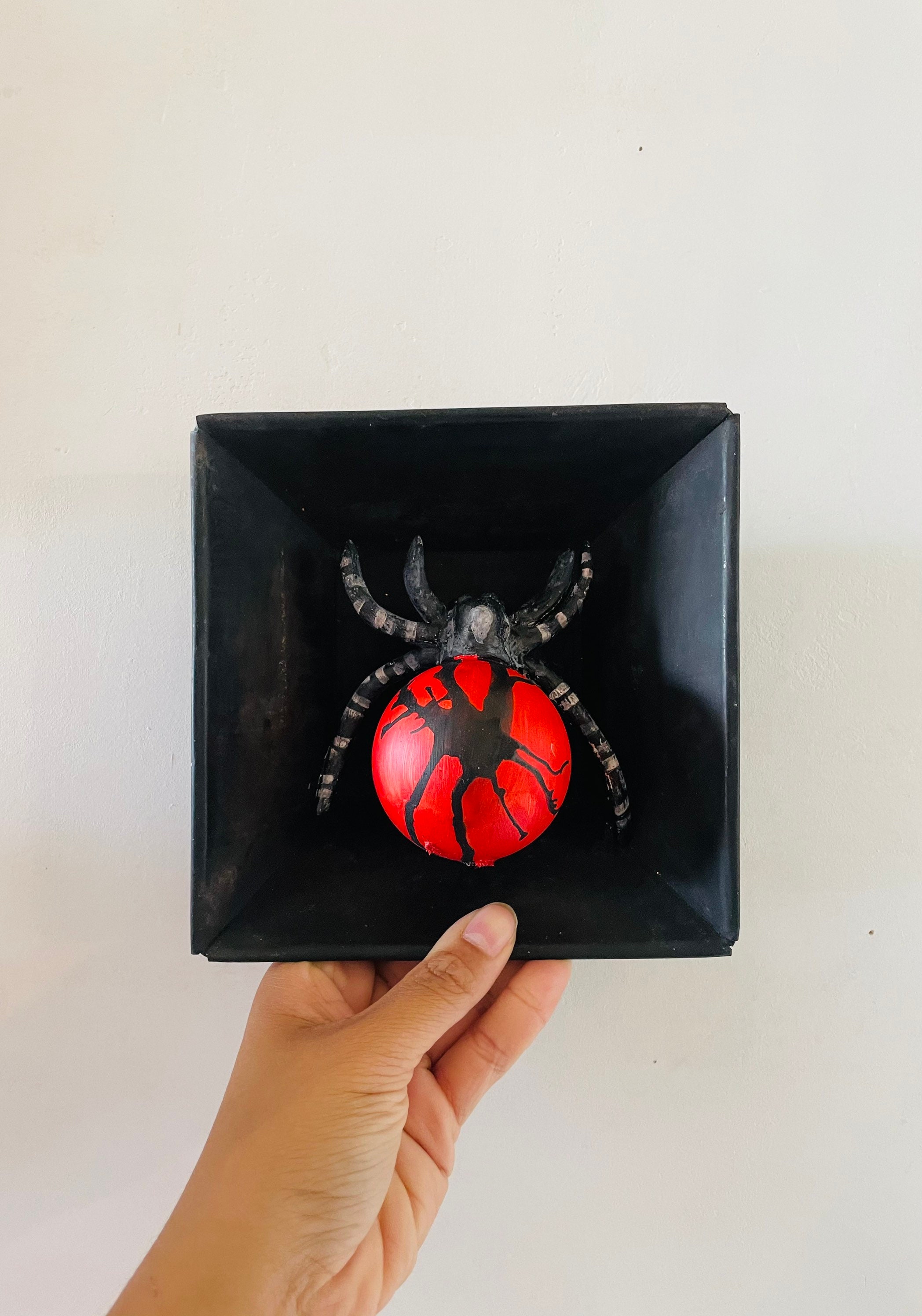 Insecte/Tique Recup Décoration Intérieur Curiosité