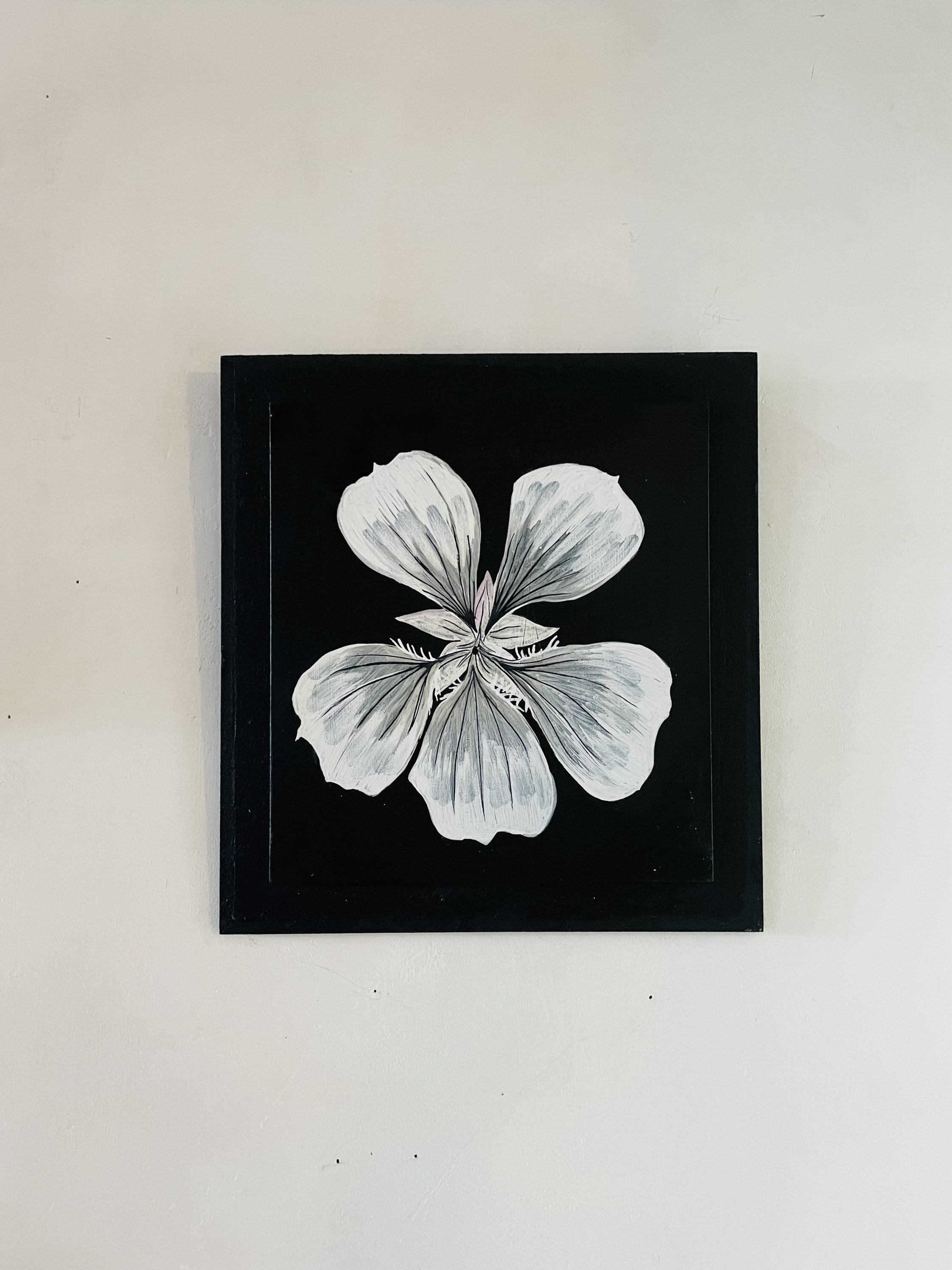 Capucine/Fleurs Illustration Décoration