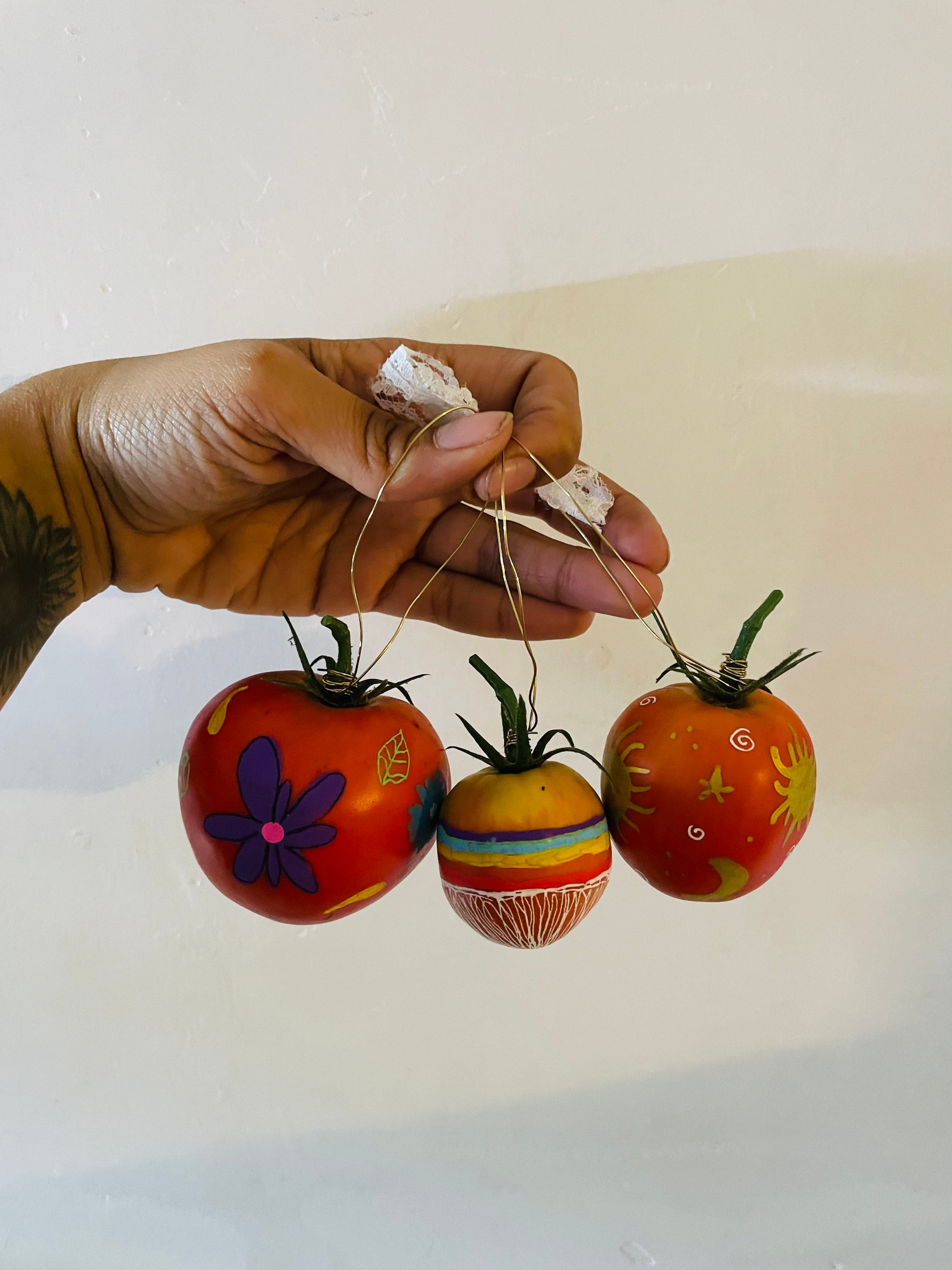 Décoration Noël/Recup Fête Tomates Lot