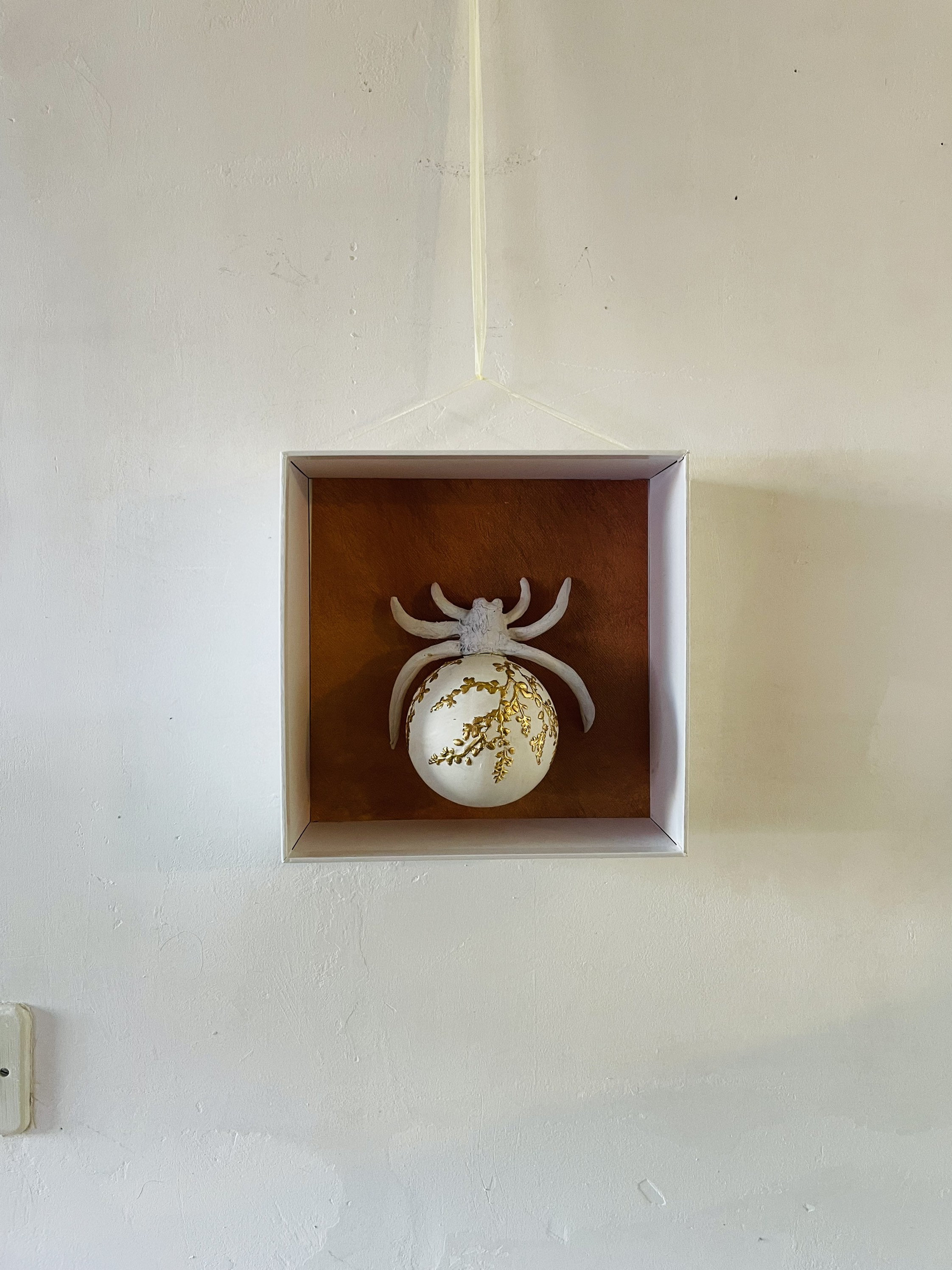 Insecte/Cabinet de Curiosité Dorure Recup