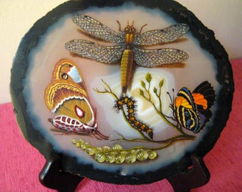 Victorian painting on Sarah. Butterflies, caterpillar, gemstone.