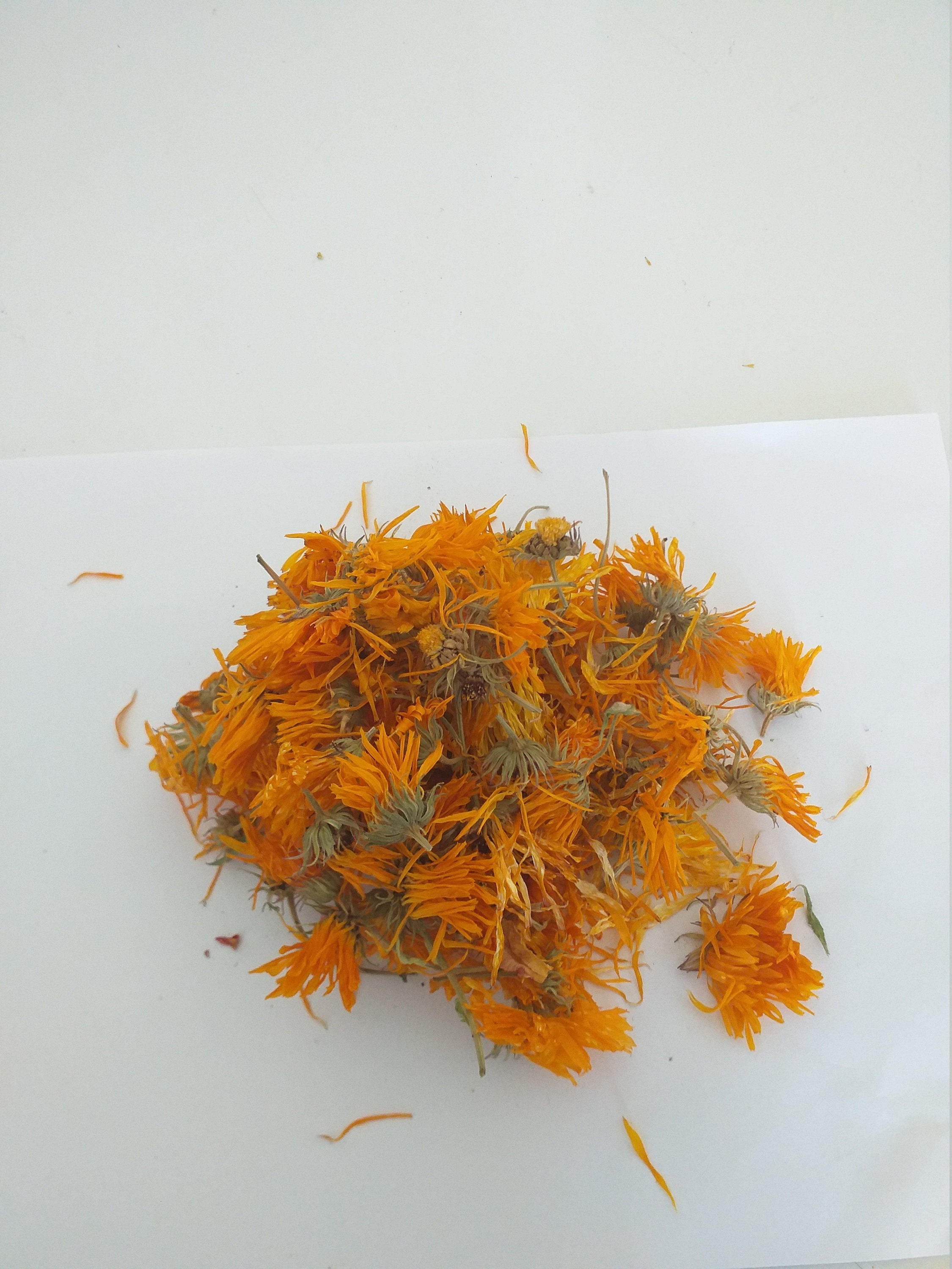 25G Bio Entier Calendula Souci Infusion à Base de Plantes Tisane Thé
