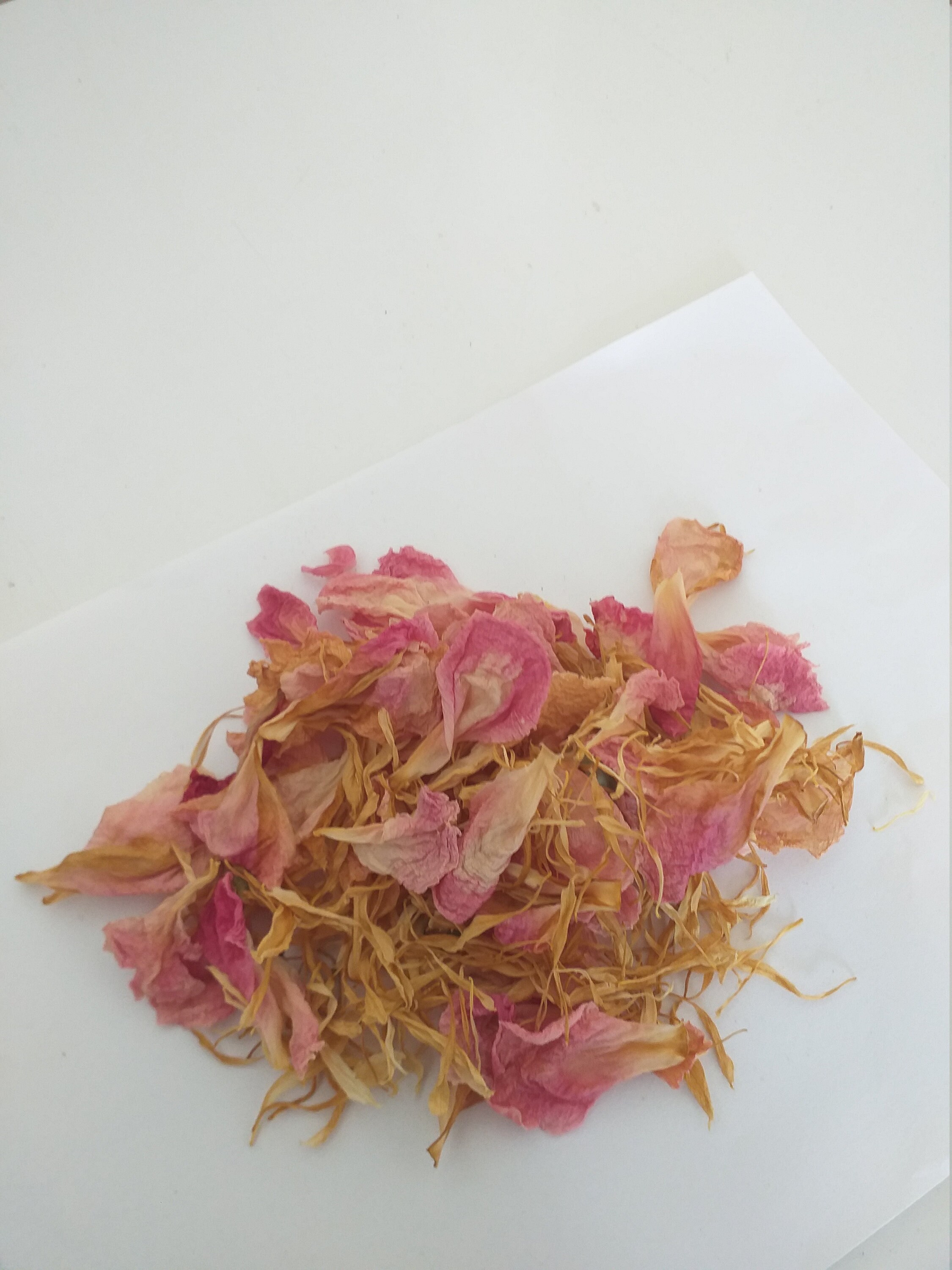 Demi-Tasse de Pétale Pivoine Biologique Infusion à Base Plantes Thé Tisane