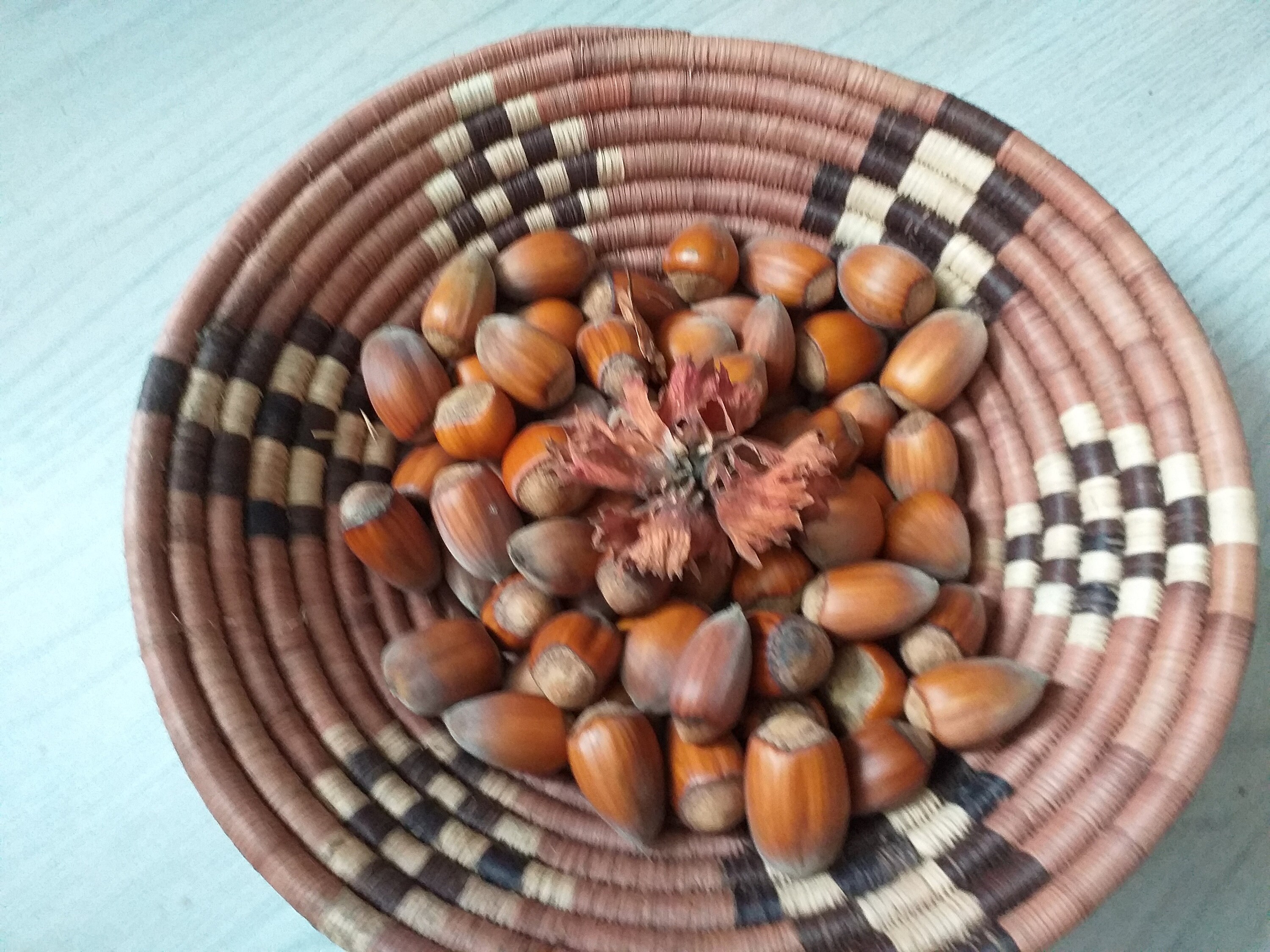 500G Noisettes Bio Filberts Snacks Sains Cultivés en Bretagne France