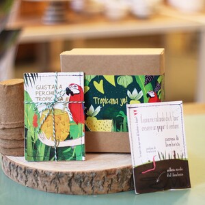 BOX frutti tropicali