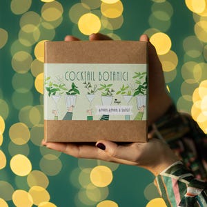 Box Cocktail Botanici