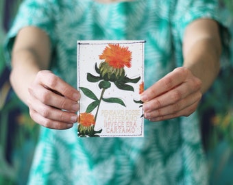 Illustrated Safflower Seed Packet, Flower Seed Packet, Biodiversity,