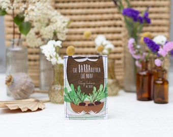 Illustrated beetroot seed packet, Organic vegetables unlike any other, Seed packet for the garden, biodiversity