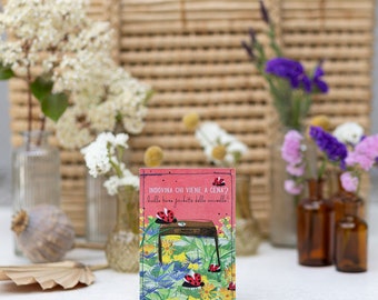 Illustrated seed packet for dill, marigold, cornflower, dandelion, and ladybirds. Biodiversity.