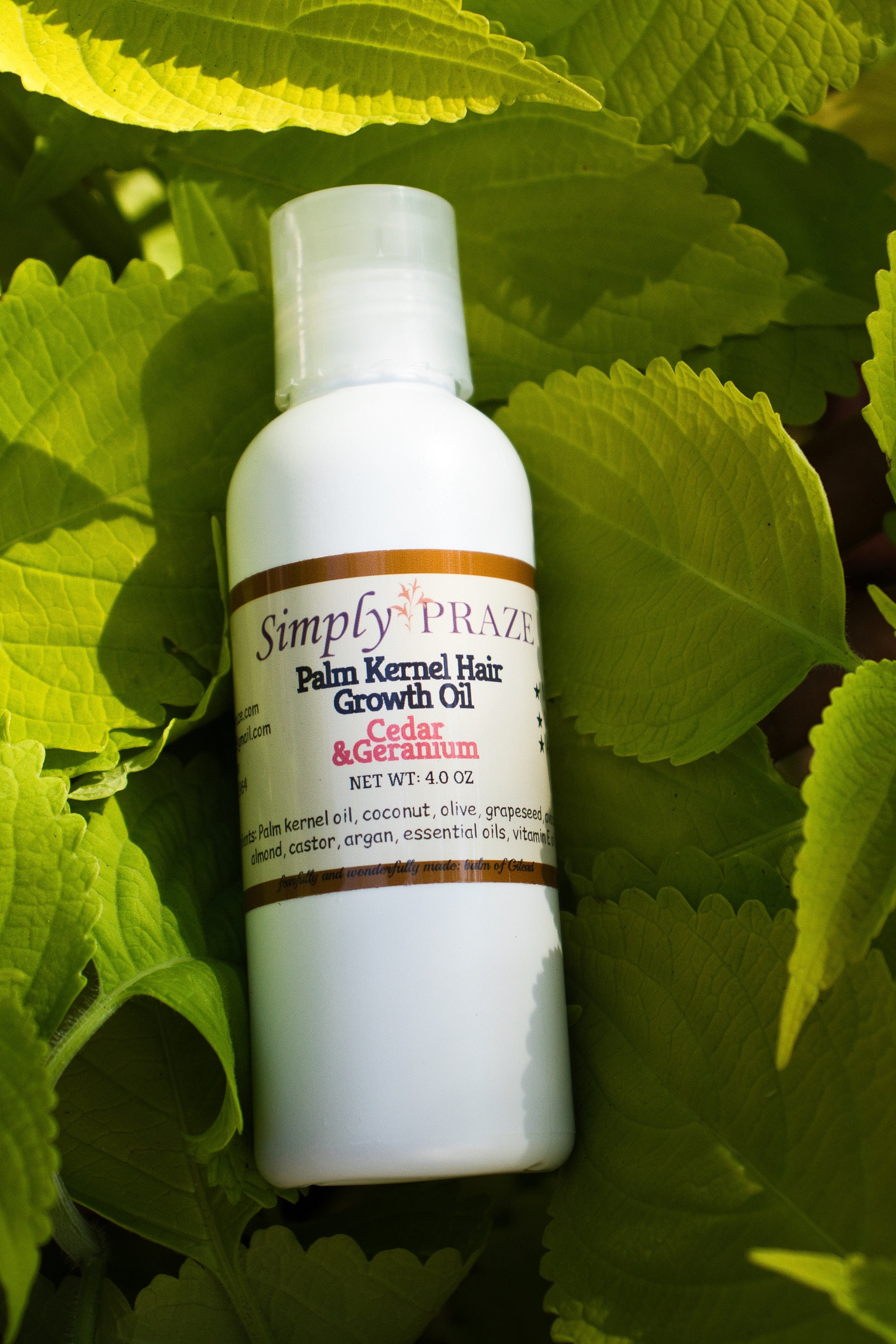 Palm Kernel thick hair oil Super Moisturizing oil Etsy