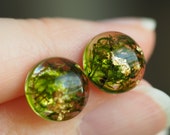 Terrarium studs with moss and gold foil - small 10mm green studs with moss - sterling silver earrings with moss and gold - lightweight earring