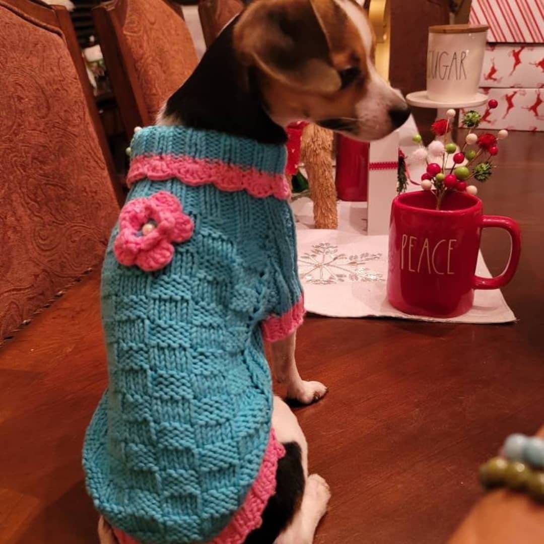 Blue Knit Dog Sweater Cotton Dog Clothes Blue Dog Coat Dog Etsy