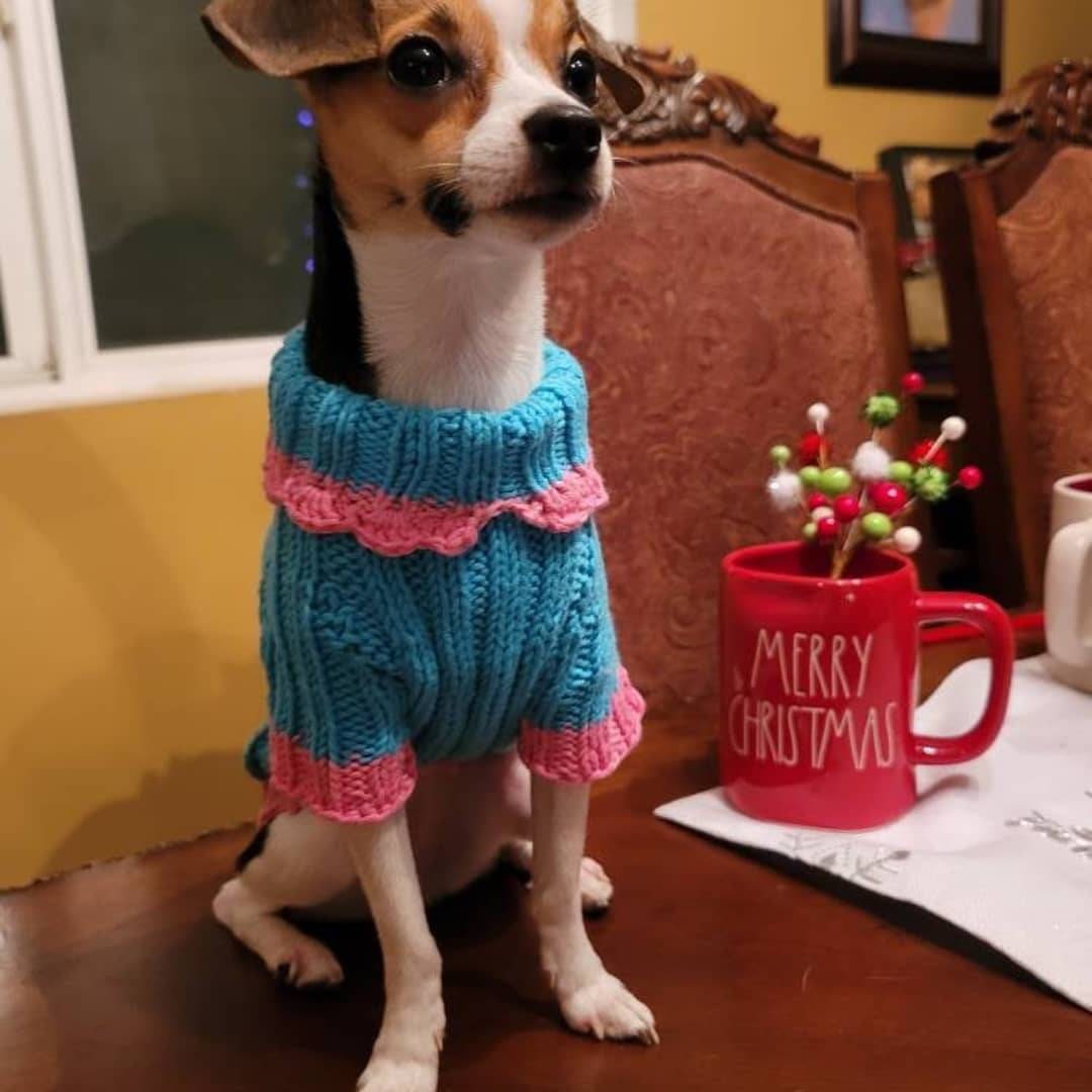 Blue Knit Dog Sweater Cotton Dog Clothes Blue Dog Coat Dog Etsy