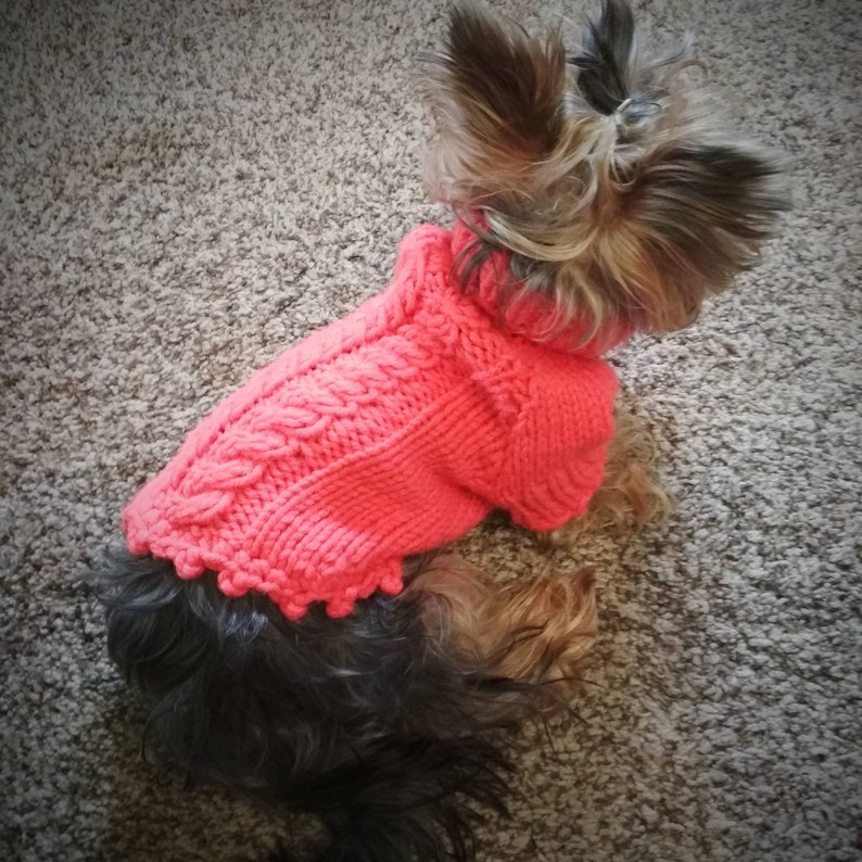 dog sweater dress