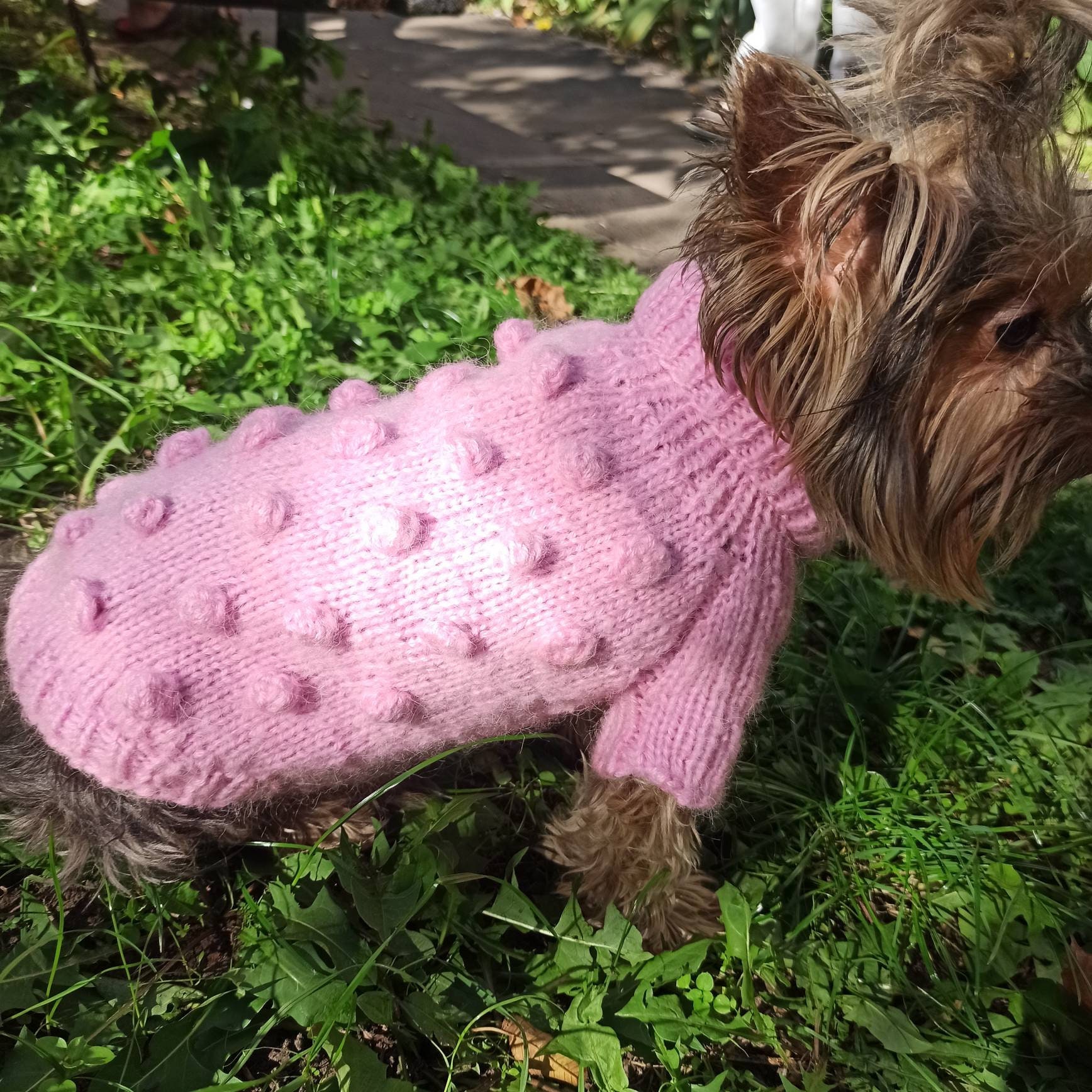 Knit Dog Sweater, Dusty Pink Dog Clothes, Chihuahua Dog Coat, Rose Cat