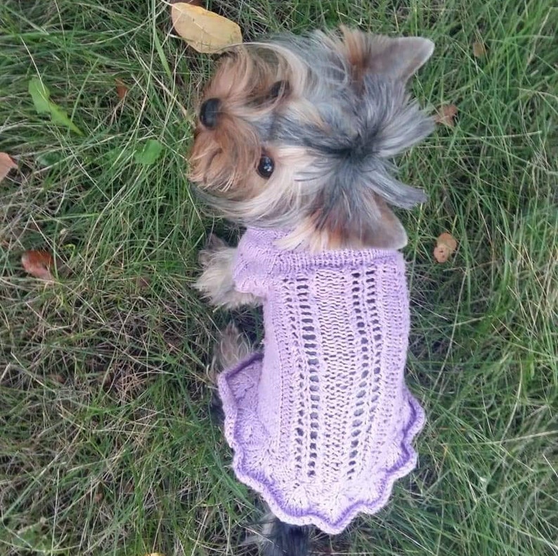 Knit Dog Sweater Lilac Small Dog Clothes Dog Coat Cotton Etsy