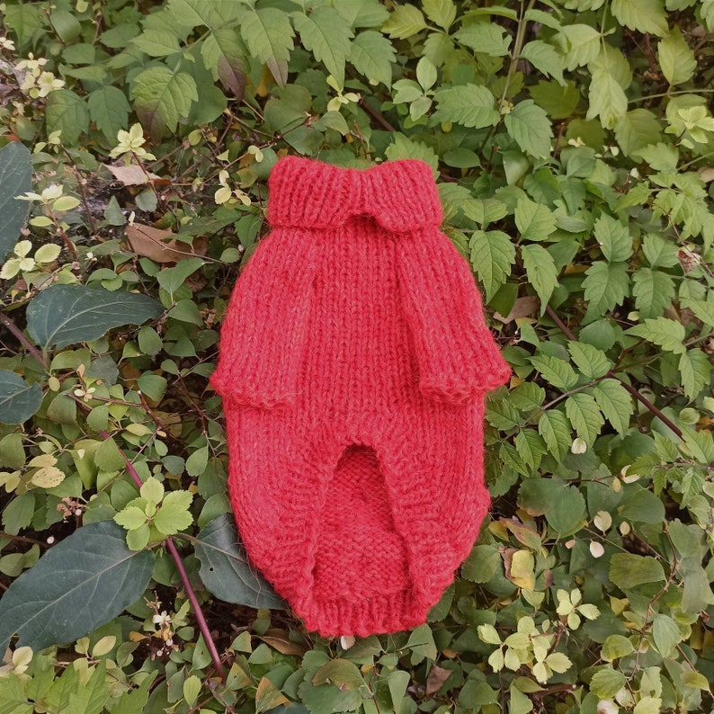 Knit Dog Sweater, Red Dog Clothes, Chihuahua Dog Coat, Dog Jacket