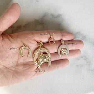 May include: Four gold horseshoe pendant options. Option 1 is a simple horseshoe. Option 2 is a horseshoe with a decorative design. Option 3 is a horseshoe with a horse head design. Option 4 is a horseshoe with a horse head design and a detailed design.