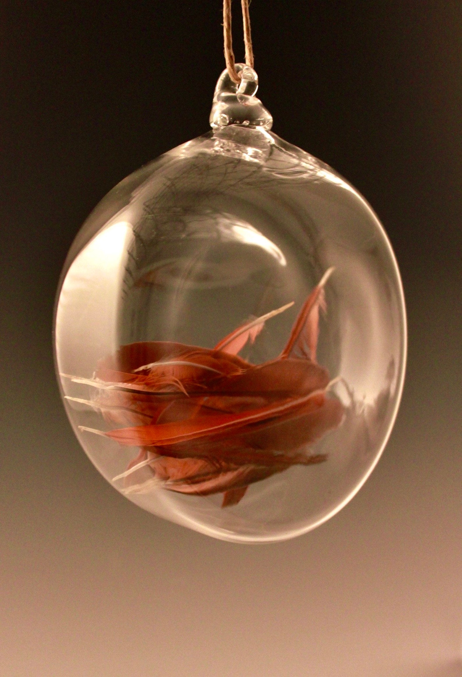 Hanging Glass Display Flattened Sphere Etsy