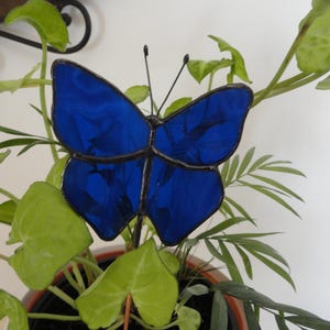 Blue Butterfly Plant Stake, Stained Glass