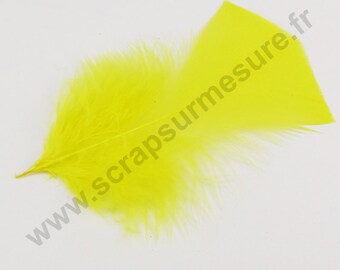 Feathers - Yellow - 120mm - 10 pcs x
