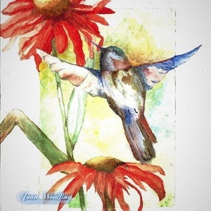 Hummingbird - Watercolor - Note Card 5 x 7 All Occasion - Individually Customized Matting - Quantity Discount