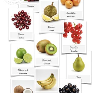 45 fiches fruits imprimables et modifiables PDF activités multiples français