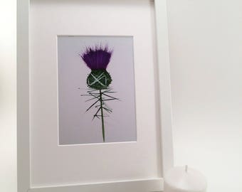 Scottish Thistle gift, Thistle print, Scottish home decor, Wedding gift, Scottish Wedding, Scottish art, Country home decor, Thistle art
