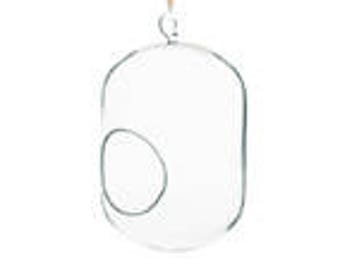 Oval 5" Glass Terrarium with Minor Imperfections / Closeout Price Glass