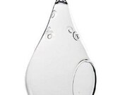 Teardrop 5 quot Glass Mini Terrarium with Minor Imperfections Grade B Closeout Price Glass