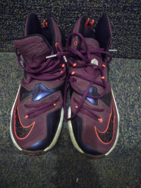 nike James Lebron 9 Purper