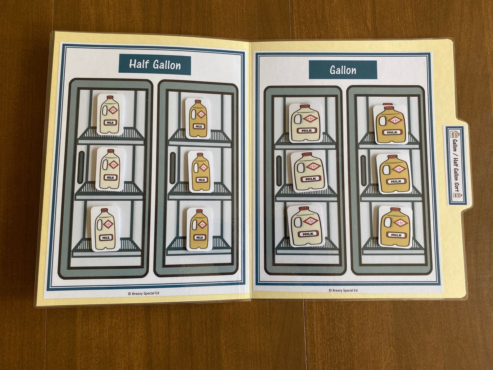 Grocery Store Life Skill File Folders for Special Education (10pk) - Etsy