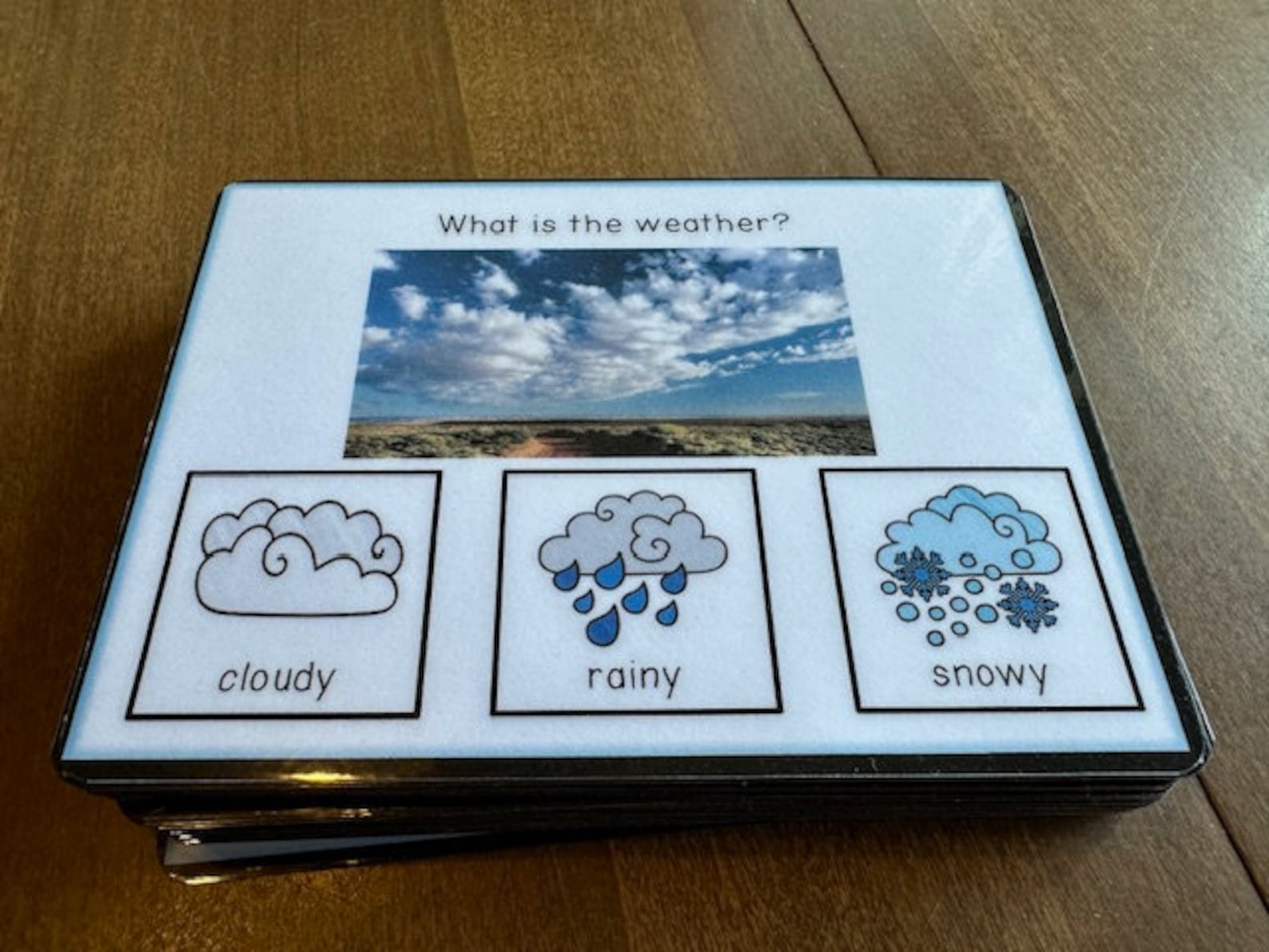 Weather Task Box What is the Weather? Visual Task Cards (special Education) 60 Pc - Etsy
