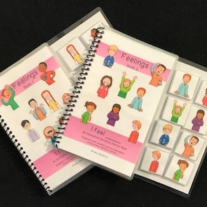 Feelings Adapted Books for Special Education / Autism