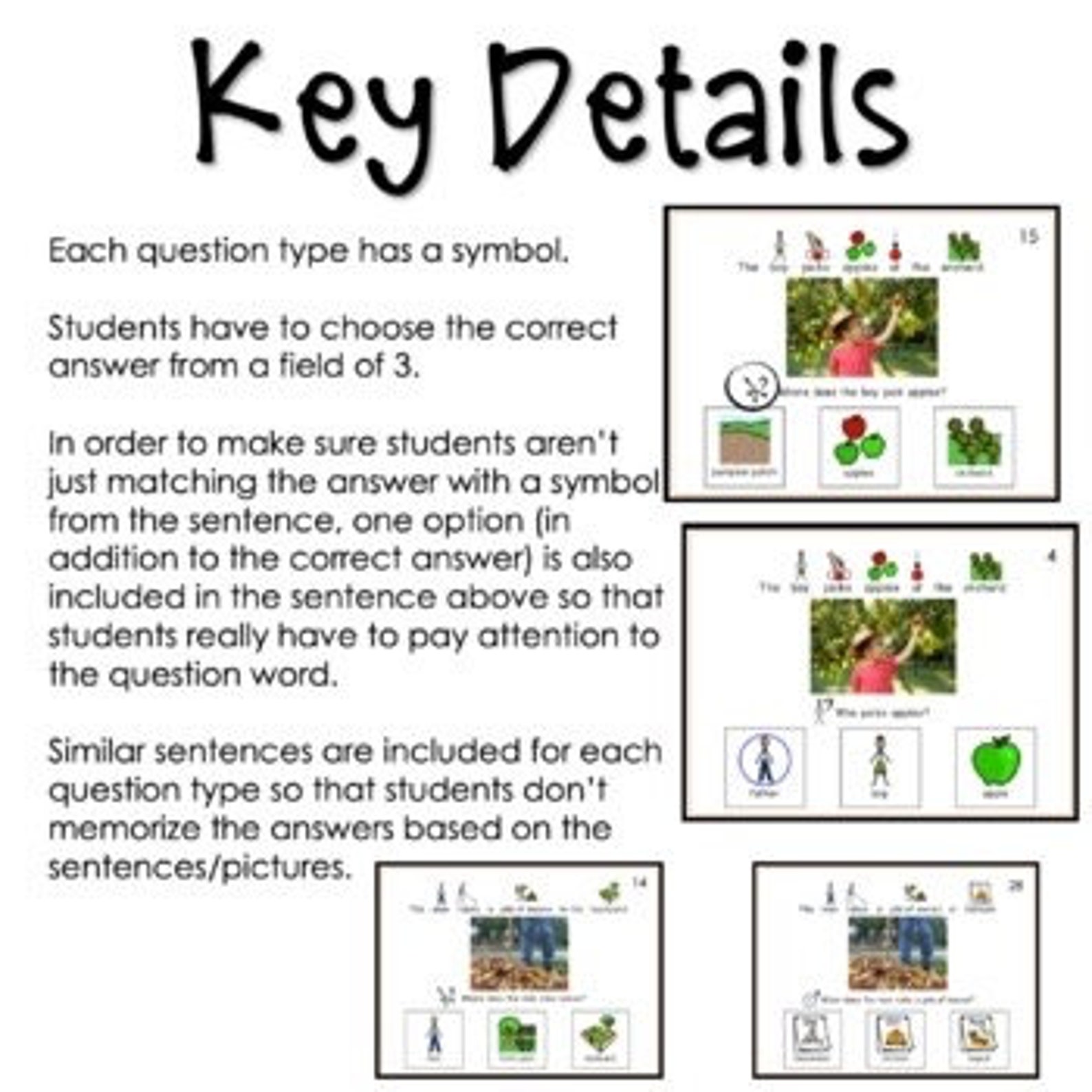 WH Questions Fall Task Cards for Autism and Special Education - Etsy