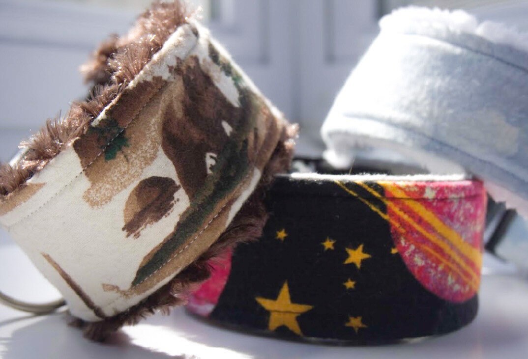 custom dog collar