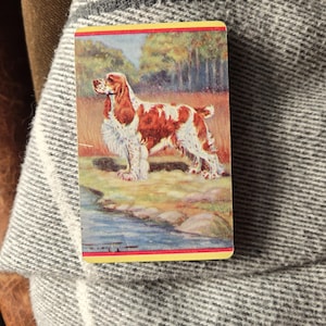 May include: A rectangular playing card featuring a vintage-style illustration of a brown and white spaniel dog standing near a body of water. The card has a thin red and yellow border, with a detailed depiction of the dog in a grassy field.