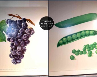 60s Vintage Retro Vegetable Print Art Card, Poster double-sided, Green Peas in a Pod, Purple Grapes, 2 sides Produce Grocery Store, Farm,