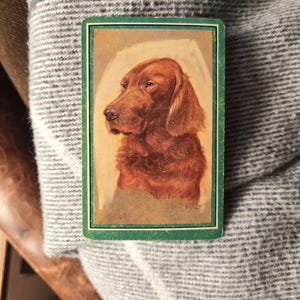 May include: A rectangular trading card featuring a detailed illustration of a reddish-brown Irish Setter dog in profile. The card has a dark green border and a light-colored background behind the dog, showcasing a classic vintage art style.