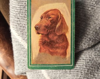 Tarjeta coleccionable con retrato de perro setter irlandés antiguo / Tarjeta coleccionable con reverso en blanco y borde verde / Efímera antigua para estudio de cabeza de setter rojo