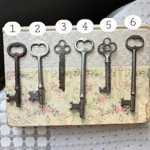 May include: Six antique skeleton keys of varying designs, arranged on a floral patterned surface. The keys are made of metal and show signs of age and wear, with a range of shapes and sizes.